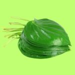 Betel Leaf (5 Paan leaf)
